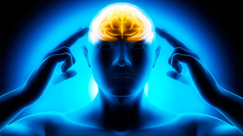 Cara Meningkatkan Daya Ingat Otak Dan Konsentrasi